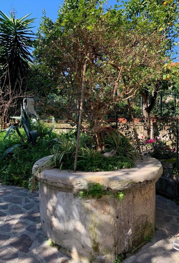 Itaca B&B Piano di Sorrento Esterno foto